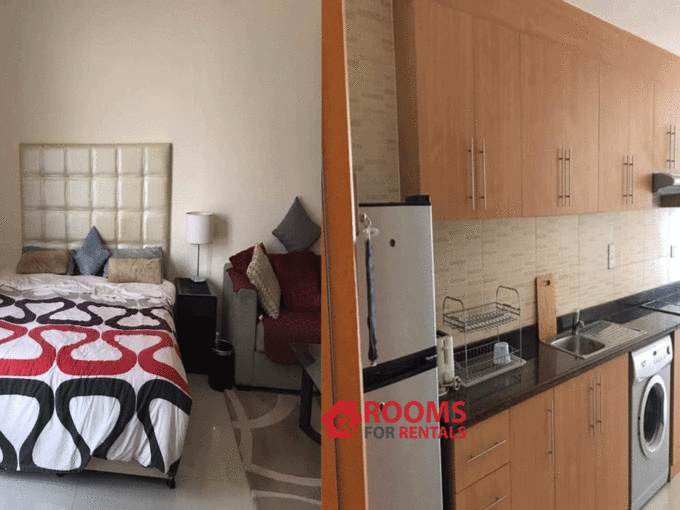 LUXURY-FULLY-FURNISHED-STUDIO-FOR-RENT-IN-LINCOLN-PARK-ARJAN