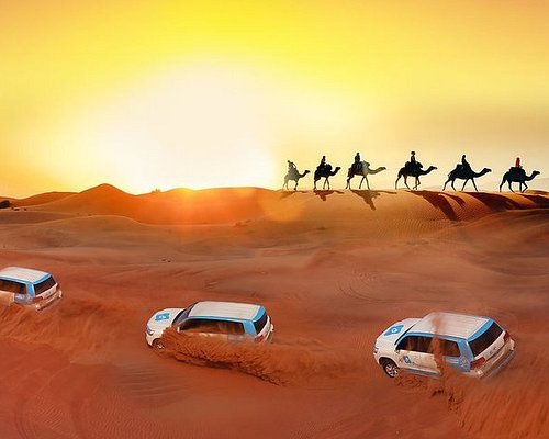 Best Exciting Desert Safari Tours In Dubai